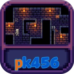 pk456
